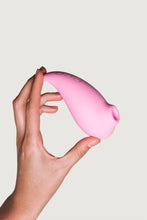 Load image into Gallery viewer, Adrien Lastic Revelation Pink
