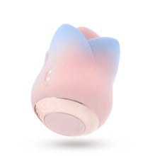 Load image into Gallery viewer, Blush Kissing Rose Pink
