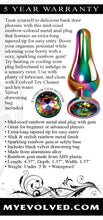 Load image into Gallery viewer, Rainbow Metal Plug Medium
