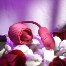 Load image into Gallery viewer, Evolved Wild Rose

