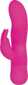 Evolved Sugar Bunny
