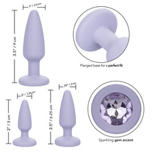 Load image into Gallery viewer, First Time Crystal Booty Kit Purple
