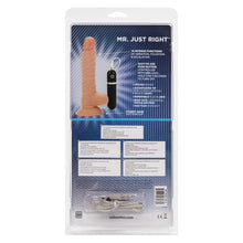 Load image into Gallery viewer, Mr Just Right Elite Eight Ivory
