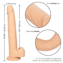 Load image into Gallery viewer, Size Queen 12in Ivory
