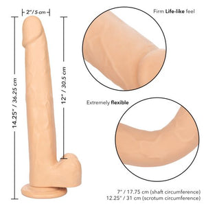 Size Queen 12in Ivory