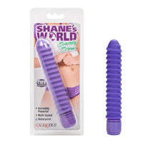 Load image into Gallery viewer, Shanes World Sorority Screw Vibe Silicone Purple
