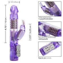 Load image into Gallery viewer, Jack Rabbit Purple W/p
