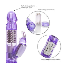 Load image into Gallery viewer, Jack Rabbit Purple W/p
