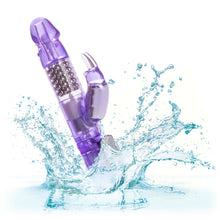 Load image into Gallery viewer, Jack Rabbit Purple W/p
