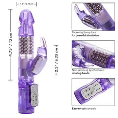 Jack Rabbit Purple W/p
