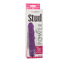 Load image into Gallery viewer, Power Stud Rod W/p Purple
