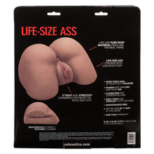 Load image into Gallery viewer, Stroke It Life-size Ass Brown
