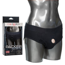 Load image into Gallery viewer, Packer Gear Black Brief Harness L/xl

