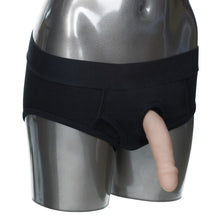 Load image into Gallery viewer, Packer Gear Black Brief Harness L/xl
