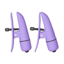 Load image into Gallery viewer, Nipplettes Purple
