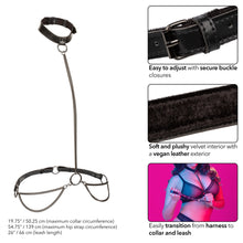 Load image into Gallery viewer, Euphoria Chain Halter Collar &amp; Leash Plus Size
