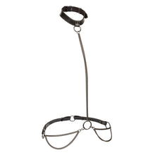 Load image into Gallery viewer, Euphoria Chain Halter Collar &amp; Leash Plus Size
