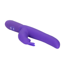 Load image into Gallery viewer, Posh 10 Function Bounding Bunny Purple

