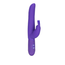Load image into Gallery viewer, Posh 10 Function Bounding Bunny Purple
