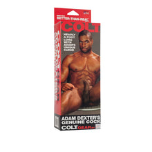 Load image into Gallery viewer, Colt Adam Dexter Dong
