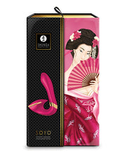Load image into Gallery viewer, Shunga Soyo Intimate Massager Raspberry
