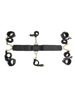Special Edition Under The Bed Restraint System