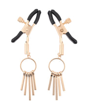 Load image into Gallery viewer, Sex &amp; Mischief Verge Nipple Clamps
