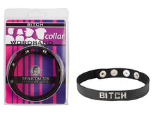 Load image into Gallery viewer, Sm Collar-bitch
