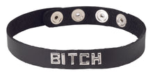 Load image into Gallery viewer, Sm Collar-bitch
