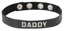 Load image into Gallery viewer, Sm Collar-daddy
