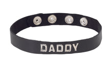 Load image into Gallery viewer, Sm Collar-daddy
