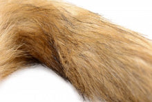 Load image into Gallery viewer, Frisky Orange Glass Butt Plug W/fox Tail
