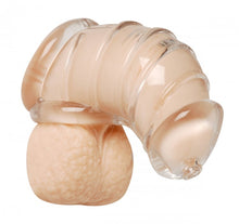 Load image into Gallery viewer, Master Series Detained Chastity Cage
