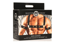 Load image into Gallery viewer, Master Series Elastic Chest Harness W/ Arm Bands L/xl
