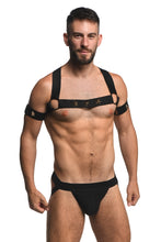 Load image into Gallery viewer, Master Series Elastic Chest Harness W/ Arm Bands L/xl
