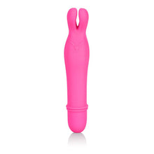 Load image into Gallery viewer, Shane&#39;s World Bedtime Bunny Pk
